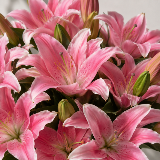 Bouquet Lys Orientaux