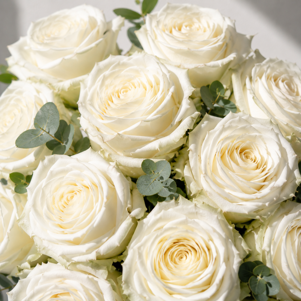 Bouquet Roses Blanche