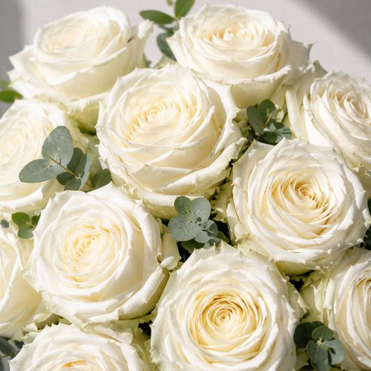 Bouquet Roses Blanche
