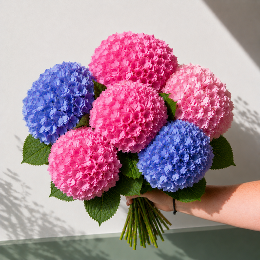 Bouquet Hortensias