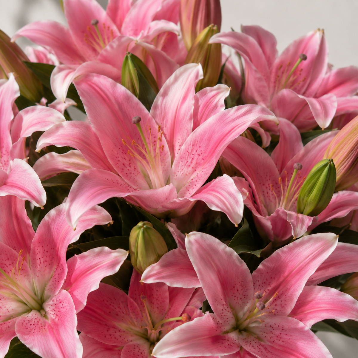 Bouquet Lys Orientaux