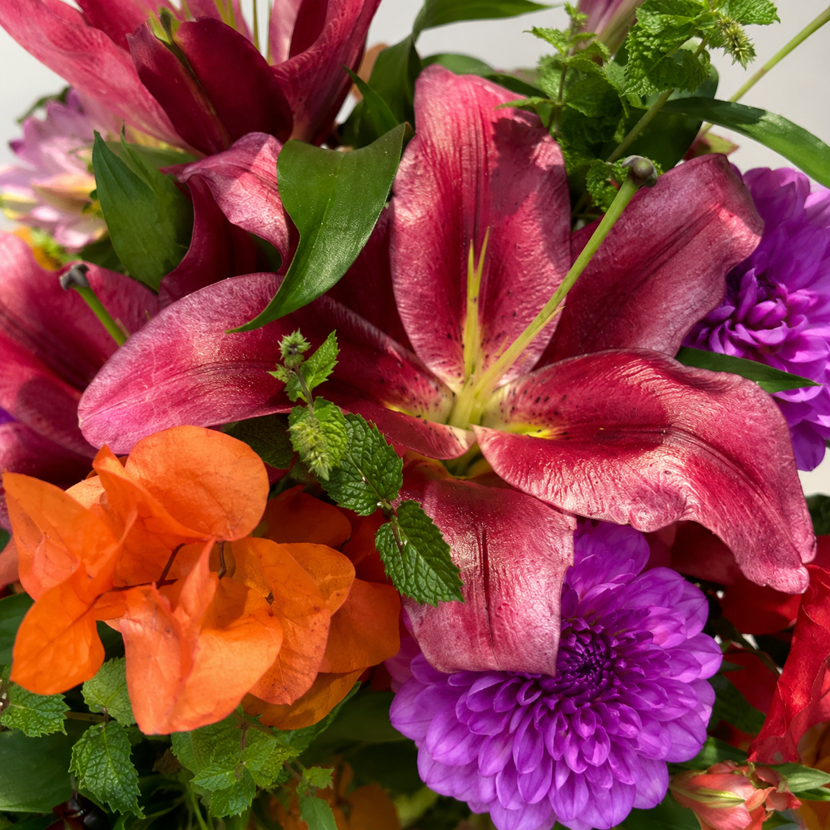 Bouquet Nuit Eclatante