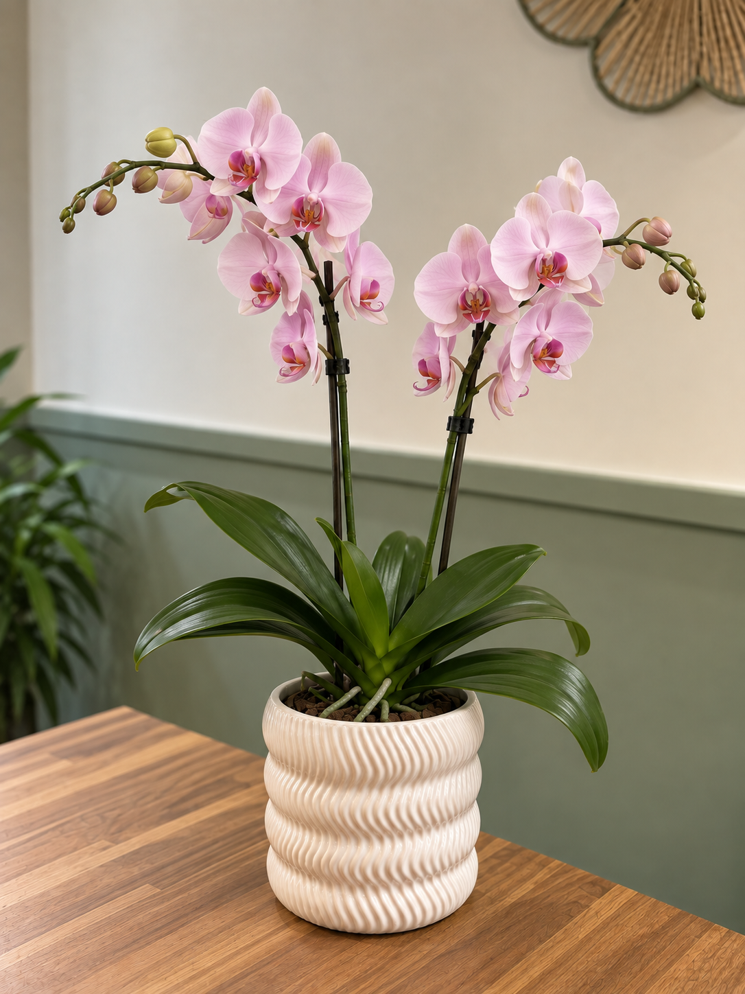 Orchidée rose